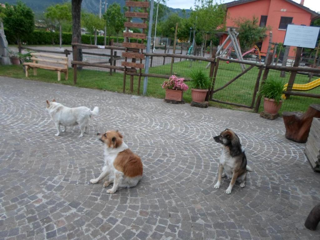 Azienda Agrituristica Pericle Montella Exterior foto
